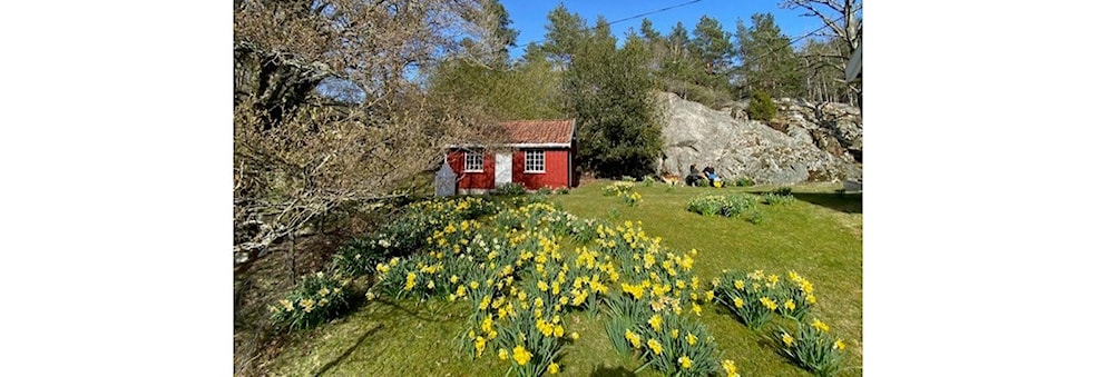 Vårtur til Auesøya, Lillesand